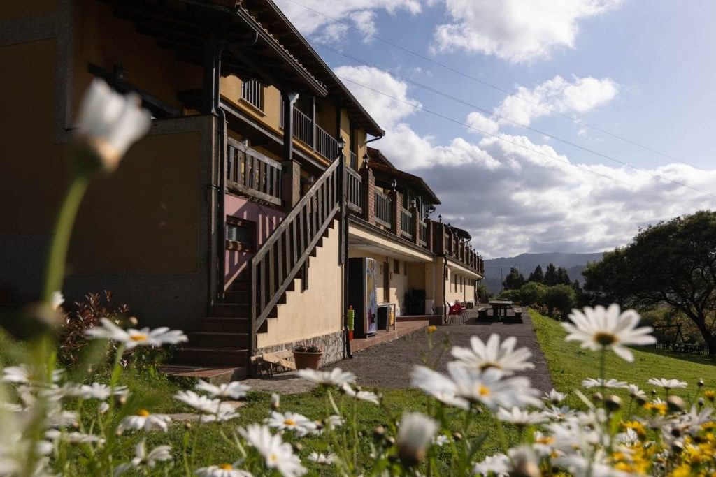 Flats Las Mimosas del Nalón Asturias